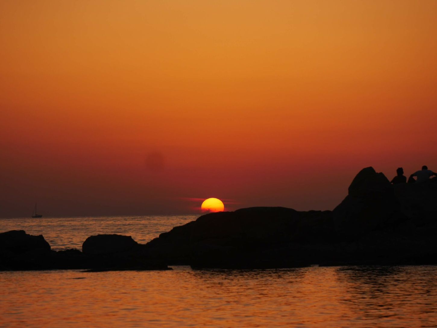 Corse